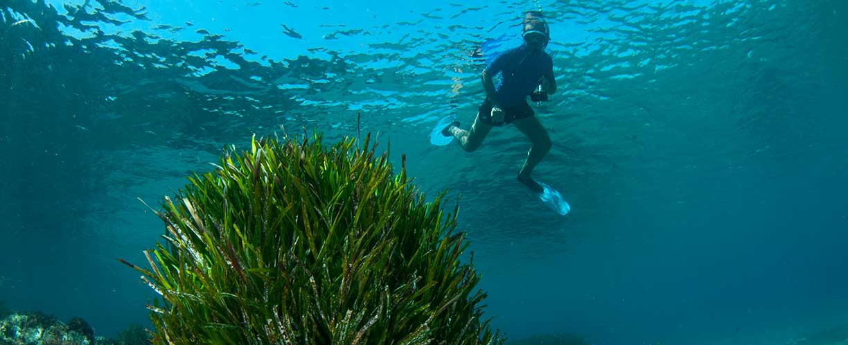 Rutas de paisaje, snorkel y excursiones privadas en Cabo de Gata